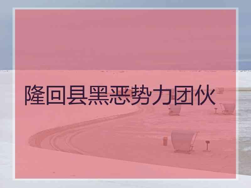 隆回县黑恶势力团伙