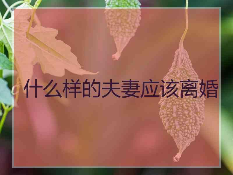 什么样的夫妻应该离婚