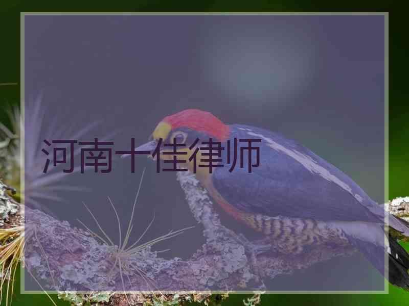 河南十佳律师