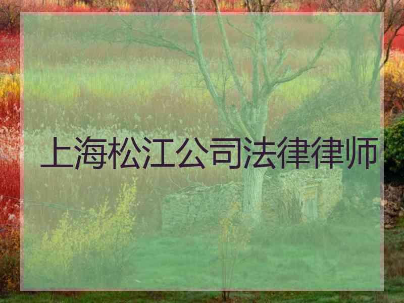 上海松江公律律师