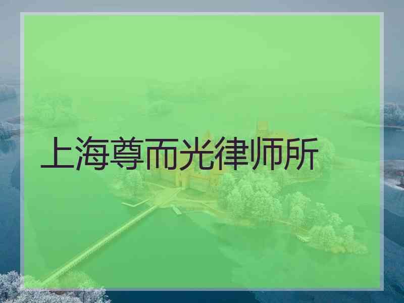 上海尊而光律师所