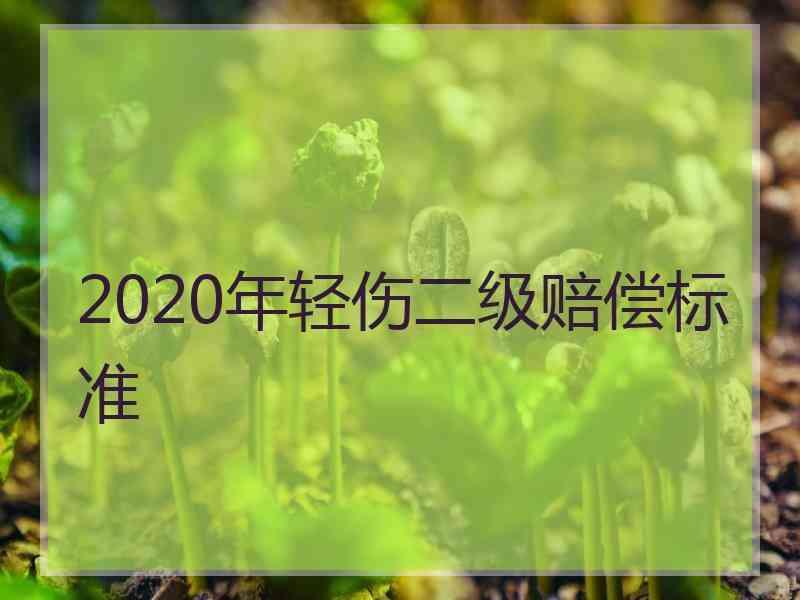 2020年轻伤二级赔偿标准