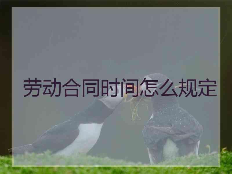 劳动合同时间怎么规定