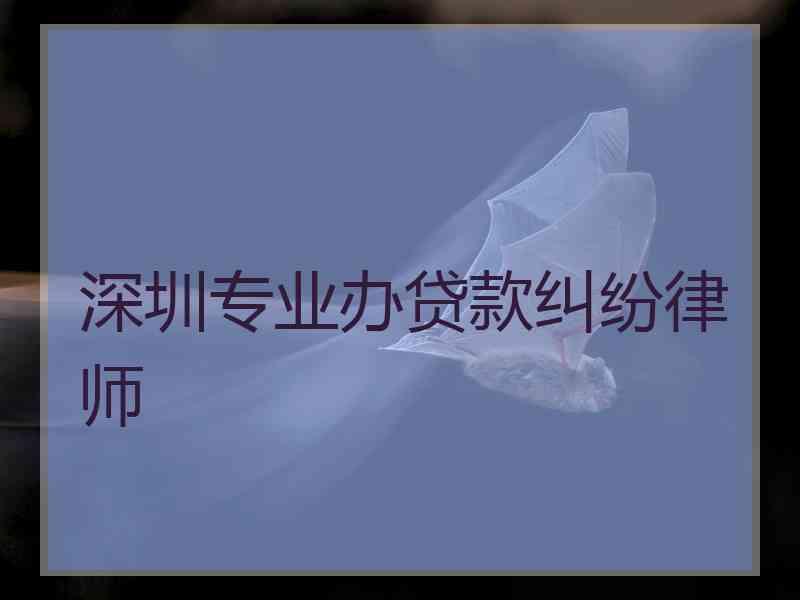 深圳专业办贷款纠纷律师