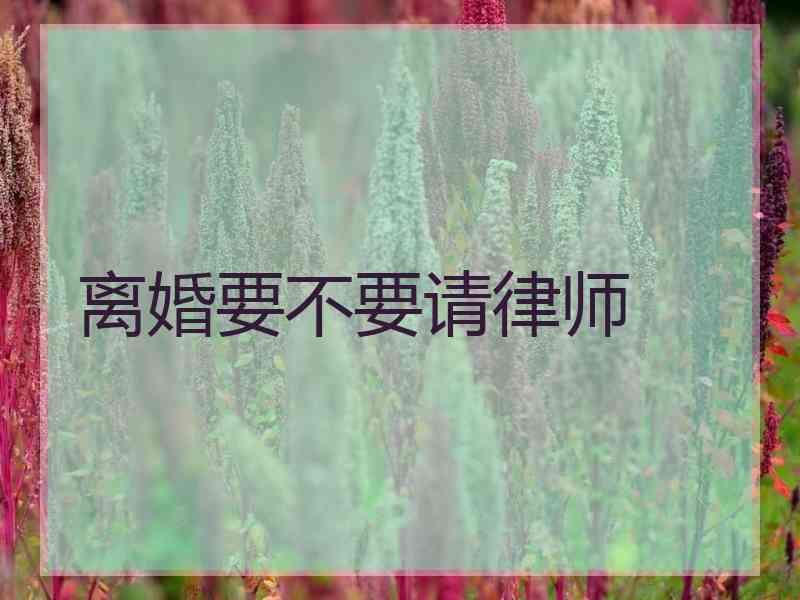 离婚要不要请律师