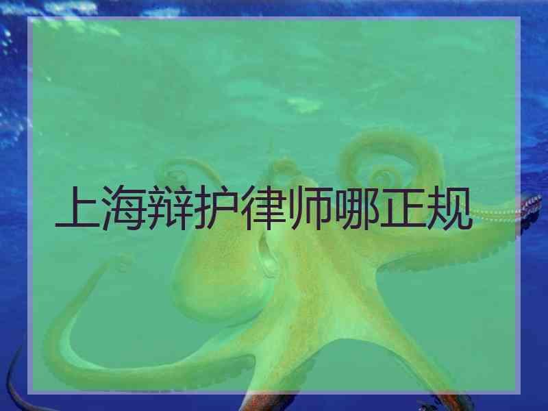 上海辩护律师哪正规