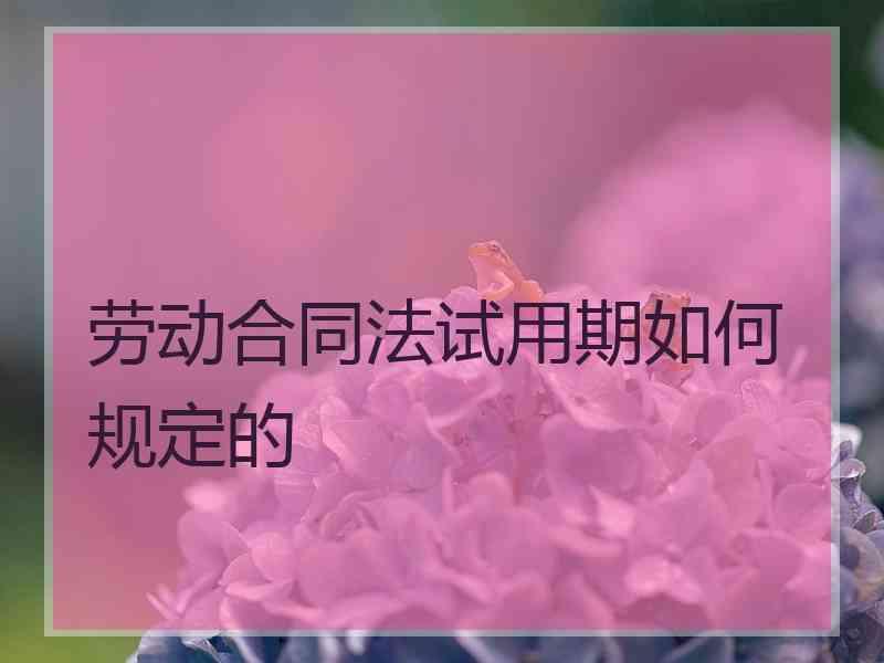 劳动合同法试用期如何规定的