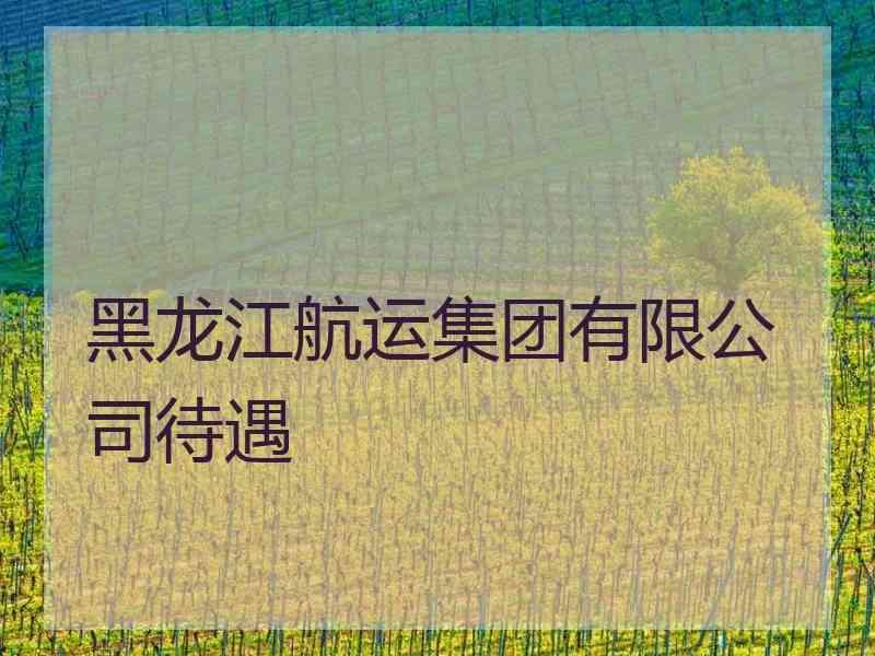 黑龙江航运集团有限公司待遇