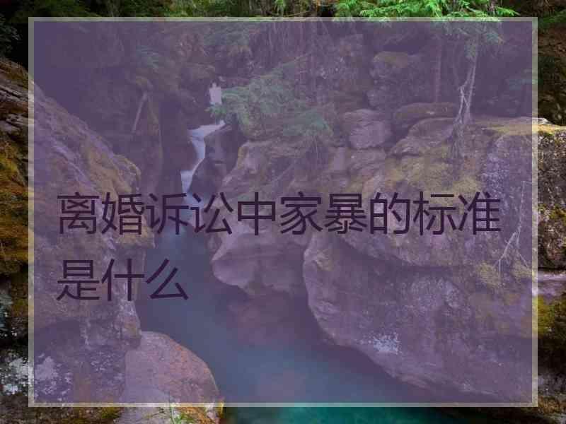 离婚诉讼中家暴的标准是什么