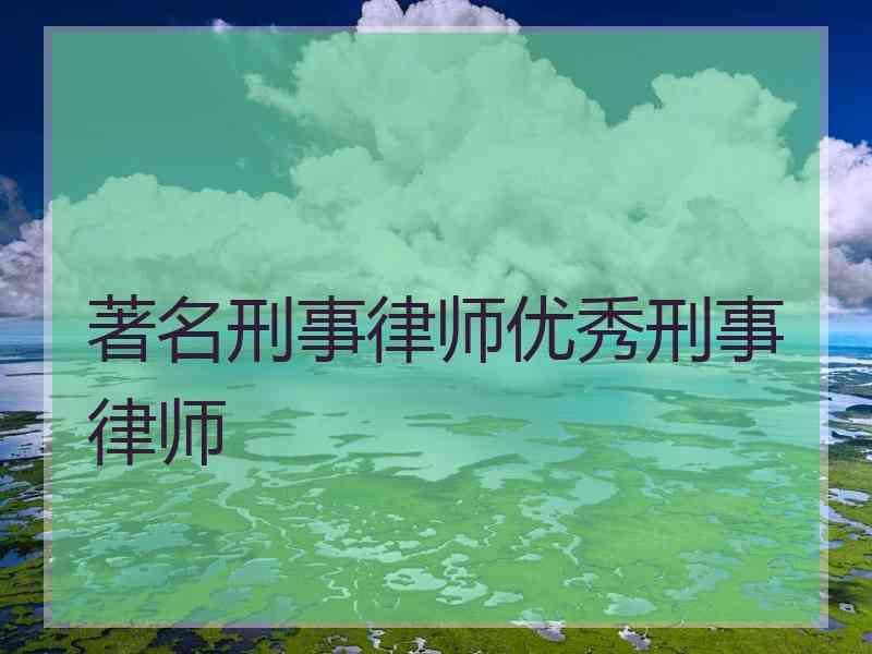 著名刑事律师优秀刑事律师