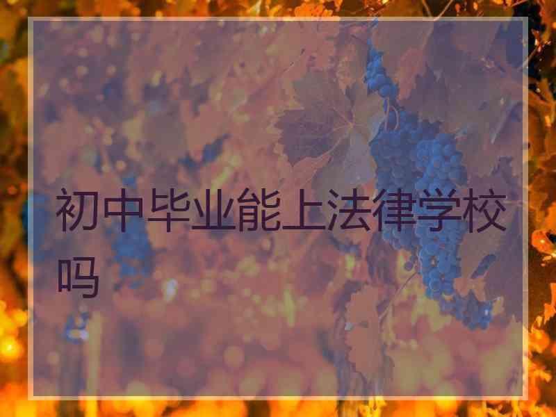 初中毕业能上法律学校吗