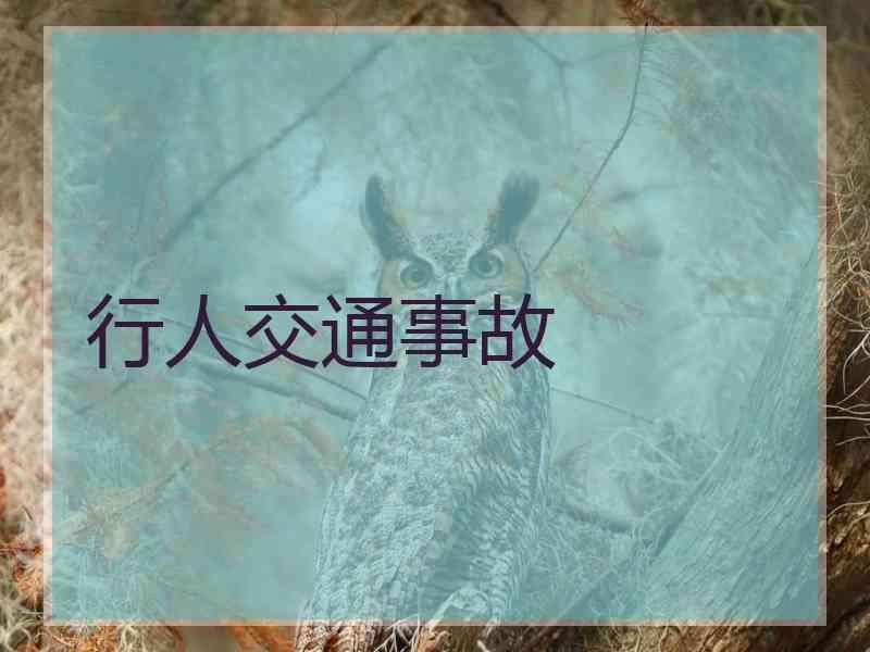 行人交通事故