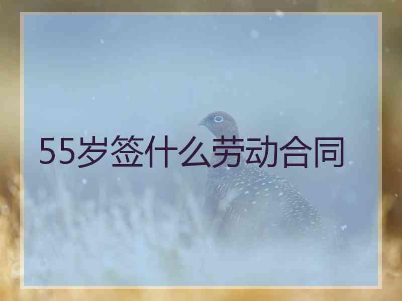 55岁签什么劳动合同