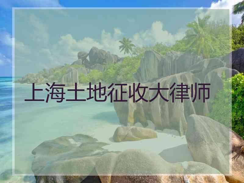 上海土地征收大律师