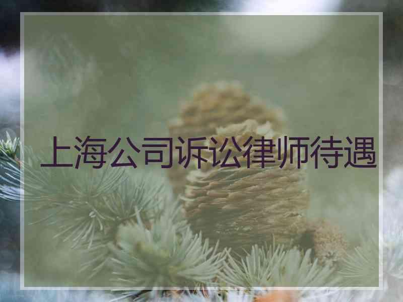 上海公司诉讼律师待遇