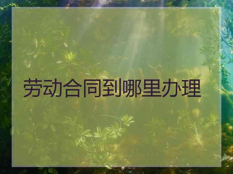 劳动合同到哪里办理