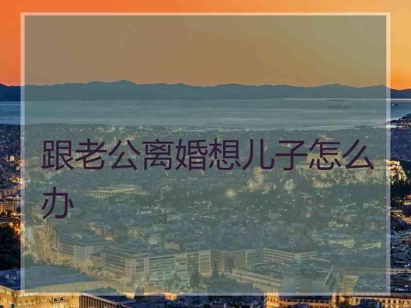 跟老公离婚想儿子怎么办