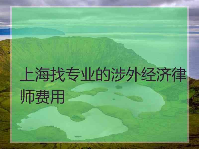 上海找专业的涉外经济律师费用