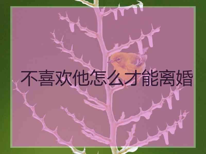 不喜欢他怎么才能离婚