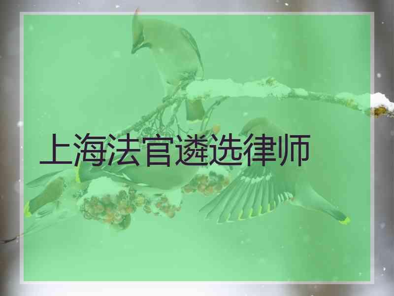 上海法官遴选律师