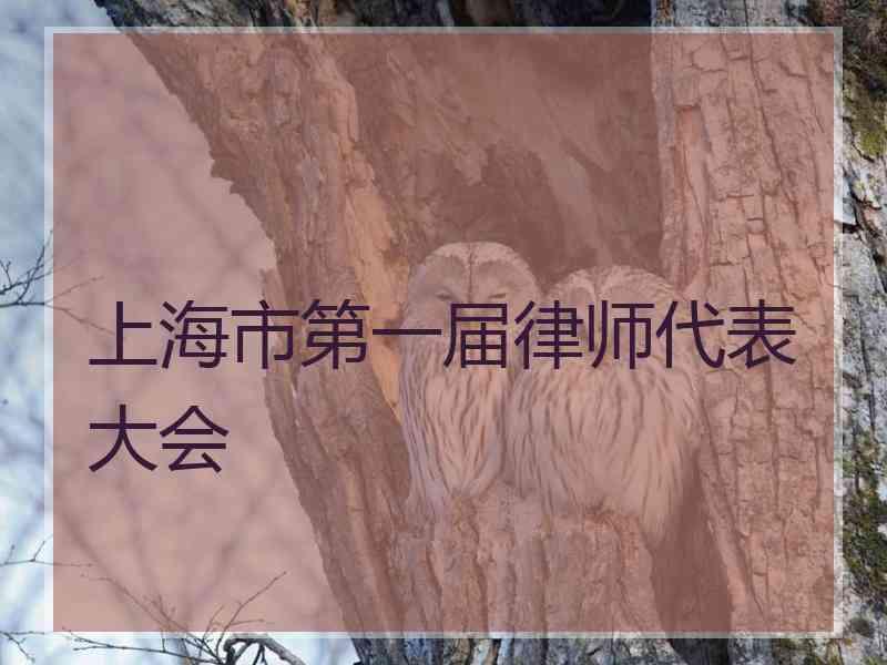 上海市第一届律师代表大会