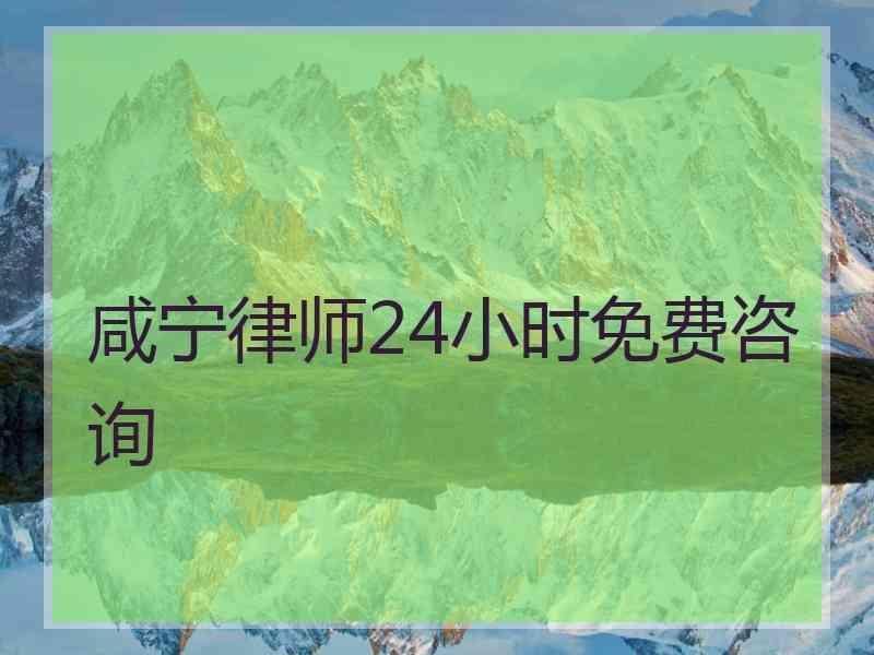 咸宁律师24小时免费咨询