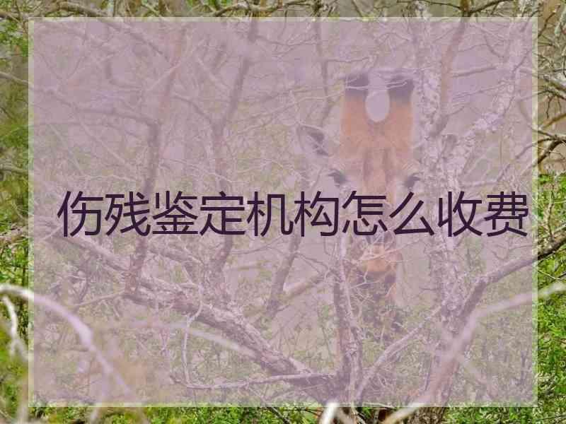 伤残鉴定机构怎么收费