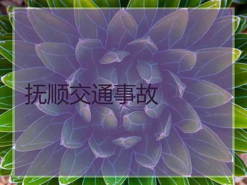 抚顺交通事故