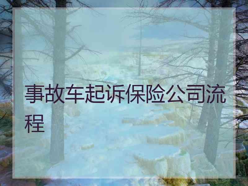 事故车起诉保险公司流程