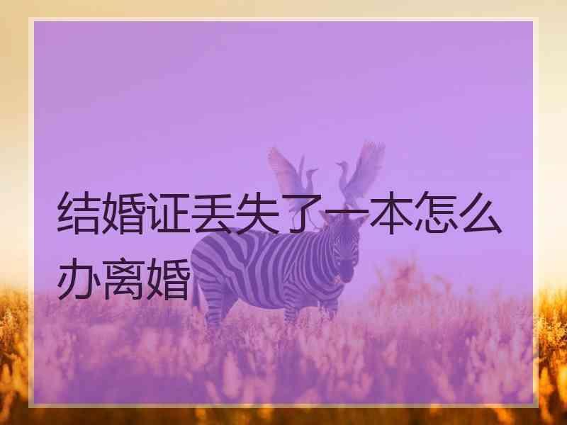 结婚证丢失了一本怎么办离婚