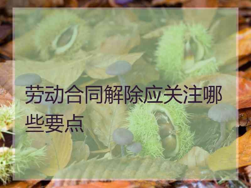 劳动合同解除应关注哪些要点