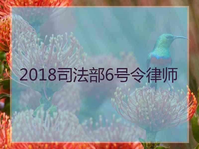 2018部6号令律师