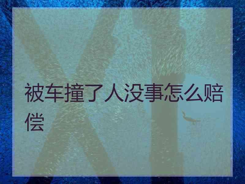 被车撞了人没事怎么赔偿