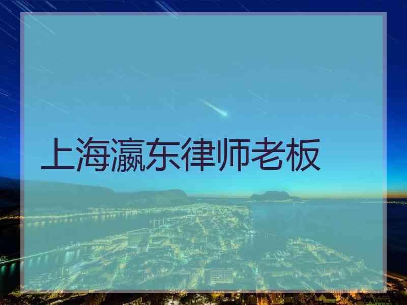 上海瀛东律师老板