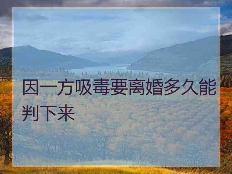 因一方吸毒要离婚多久能判下来