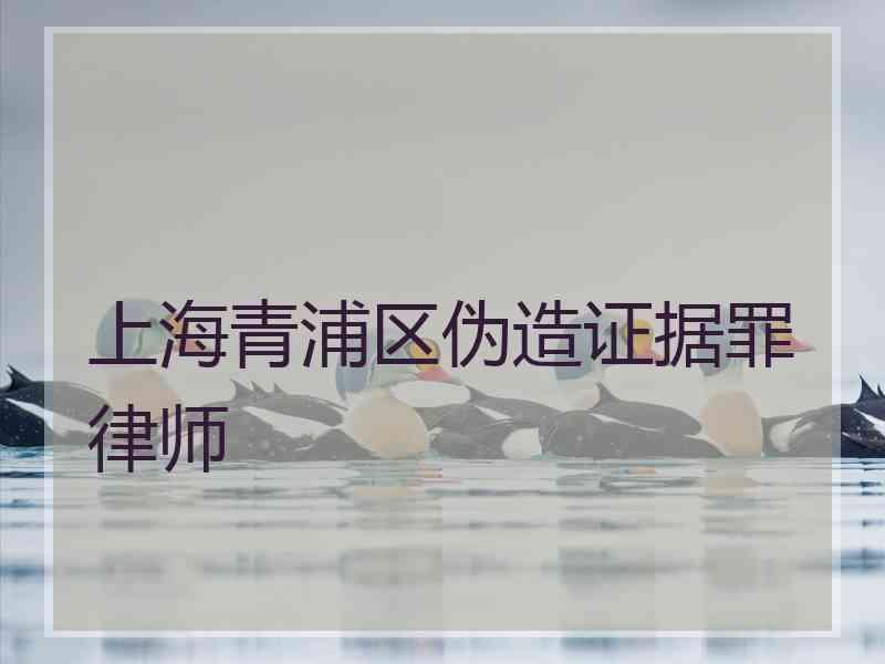 上海青浦区伪造证据罪律师