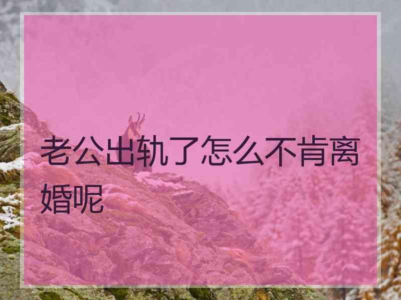 老公出轨了怎么不肯离婚呢