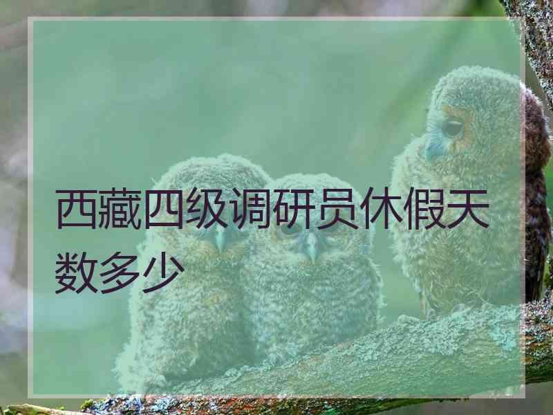 西藏四级调研员休假天数多少