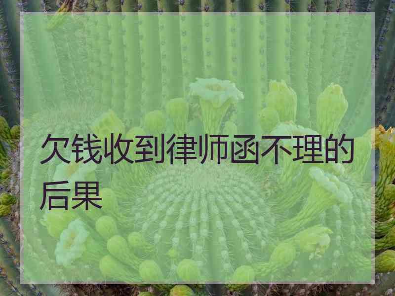 欠钱收到律师函不理的后果