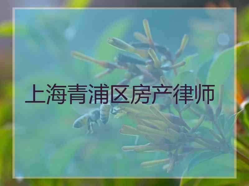 上海青浦区房产律师