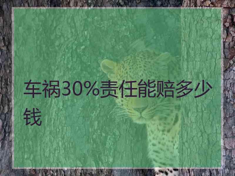 车祸30%责任能赔多少钱