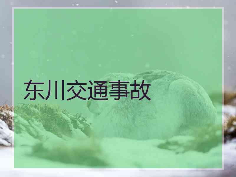 东川交通事故