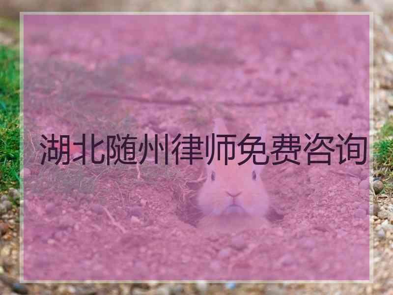 湖北随州律师免费咨询