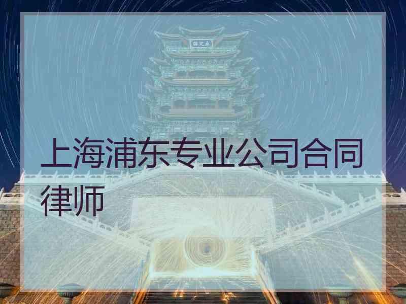 上海浦东专业公司合同律师