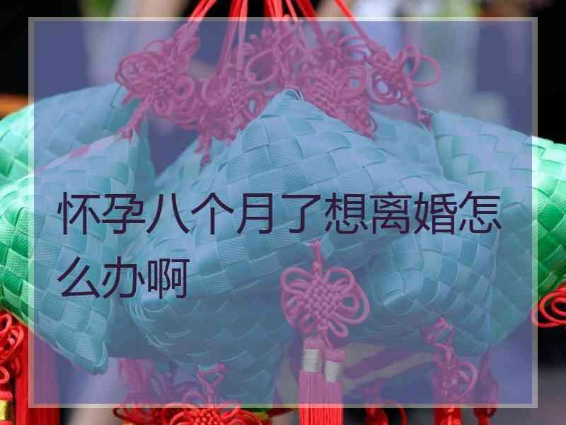 怀孕八个月了想离婚怎么办啊