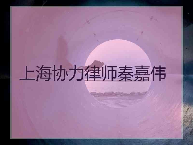 上海协力律师秦嘉伟