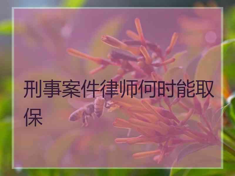 刑事案件律师何时能取保