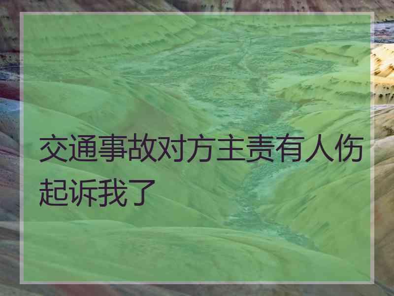 交通事故对方主责有人伤起诉我了