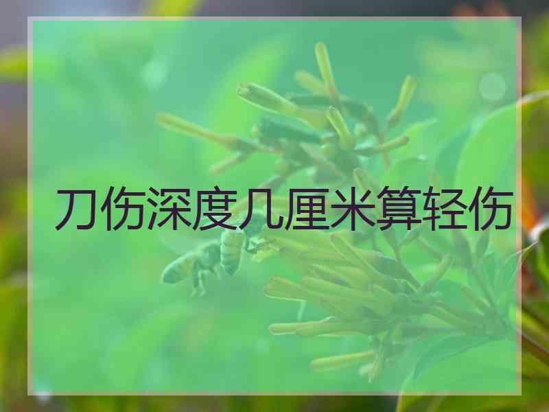 刀伤深度几厘米算轻伤