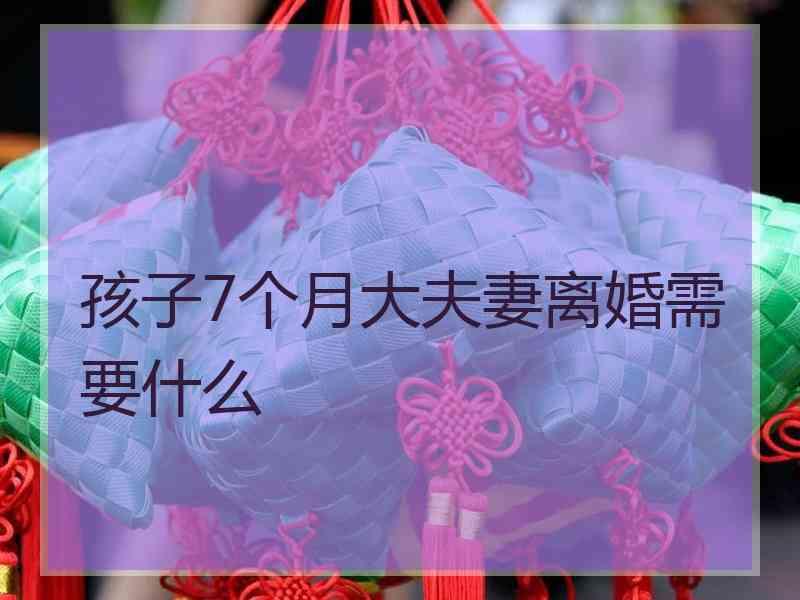 孩子7个月大夫妻离婚需要什么